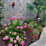 & Matos Portorož
