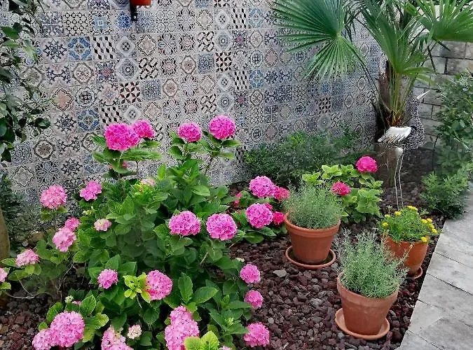 & Matos ポルトローシュ