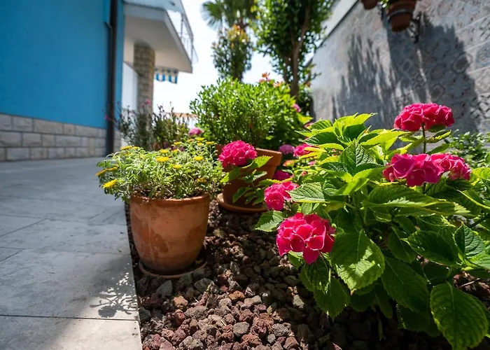 & Matos ポルトローシュ